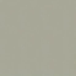 Superfresco Easy Vliesbehang Lynn Lichtgroen 105952