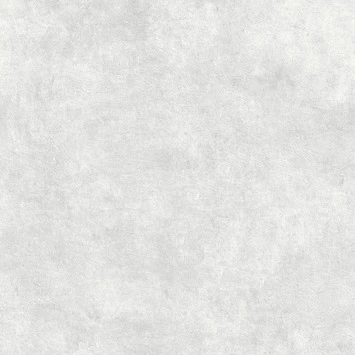 Superfresco Easy Vliesbehang Beton Cire Lichtgrijs 106988