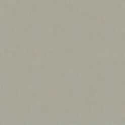 Superfresco Easy Vliesbehang Lynn Lichtgroen (dessin 105952)